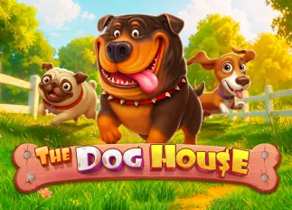 หวยลาววันนี้ออกอะไร mthai The Dog House ทดลองเล่นฟรี